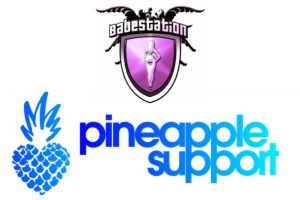 Babestation sponsors Pineapple Support