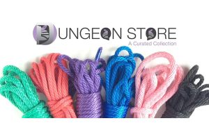 The Dungeon Store heads to Frolicon