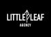 Little Leaf Agency Achieves Awin Certification