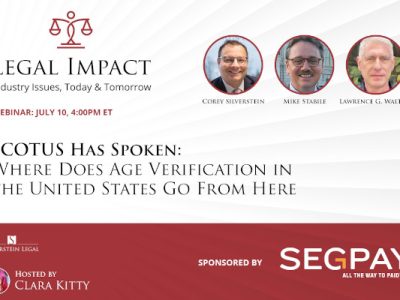 Corey D. Silverstein to Host Webinar on SCOTUS Age Verification Ruling
