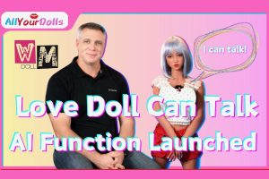 WMDoll Unveils AI-Enhanced 'MetaBox'